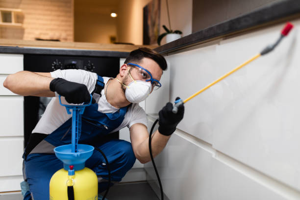 Best Insect Control  in North Palm Beach, FL